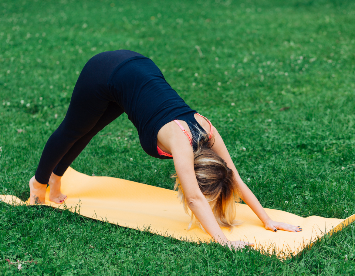 power yoga technique by yogacharya krishna